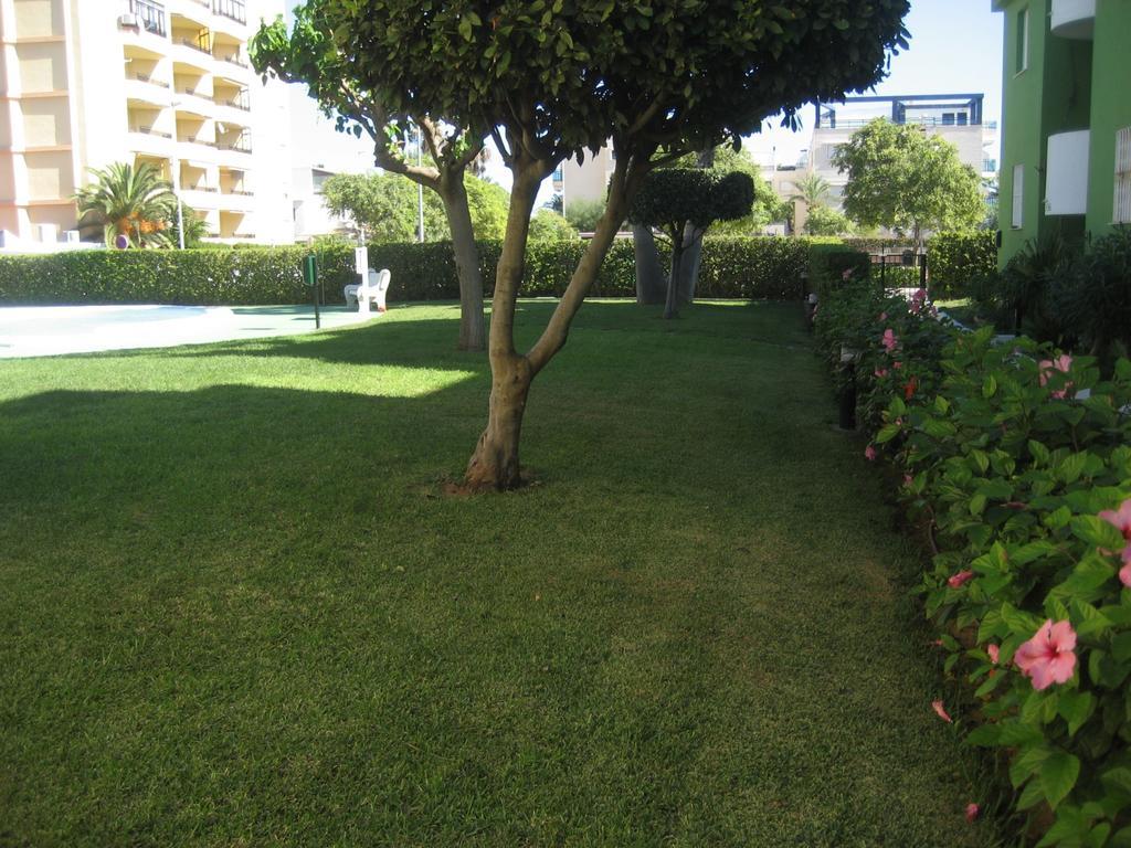 Los Juncos Apartamentos - Solo Familias Oliva Exteriör bild